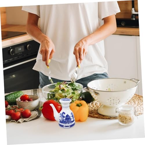 Versatile Ceramic Condiment Dispenser