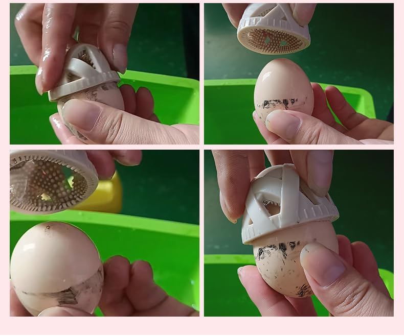 Fresh Egg Brush Cleaner for Perfect Shell Hygiene