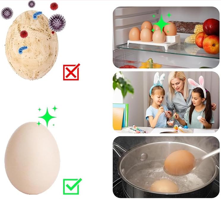 Fresh Egg Brush Cleaner for Perfect Shell Hygiene